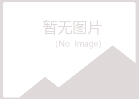 伊春新青沛文媒体有限公司